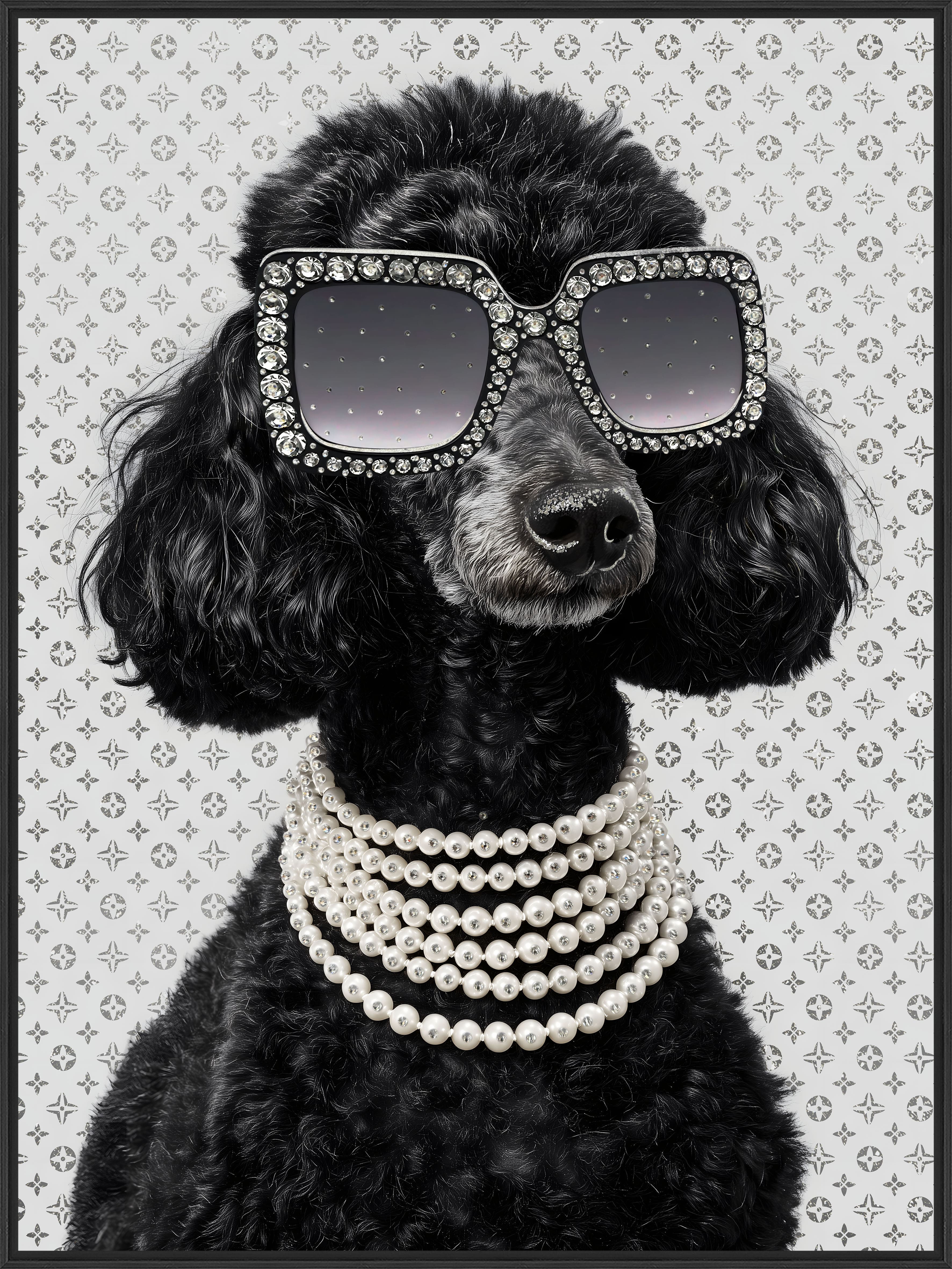 Wandbild Frame Poodle 60x80cm