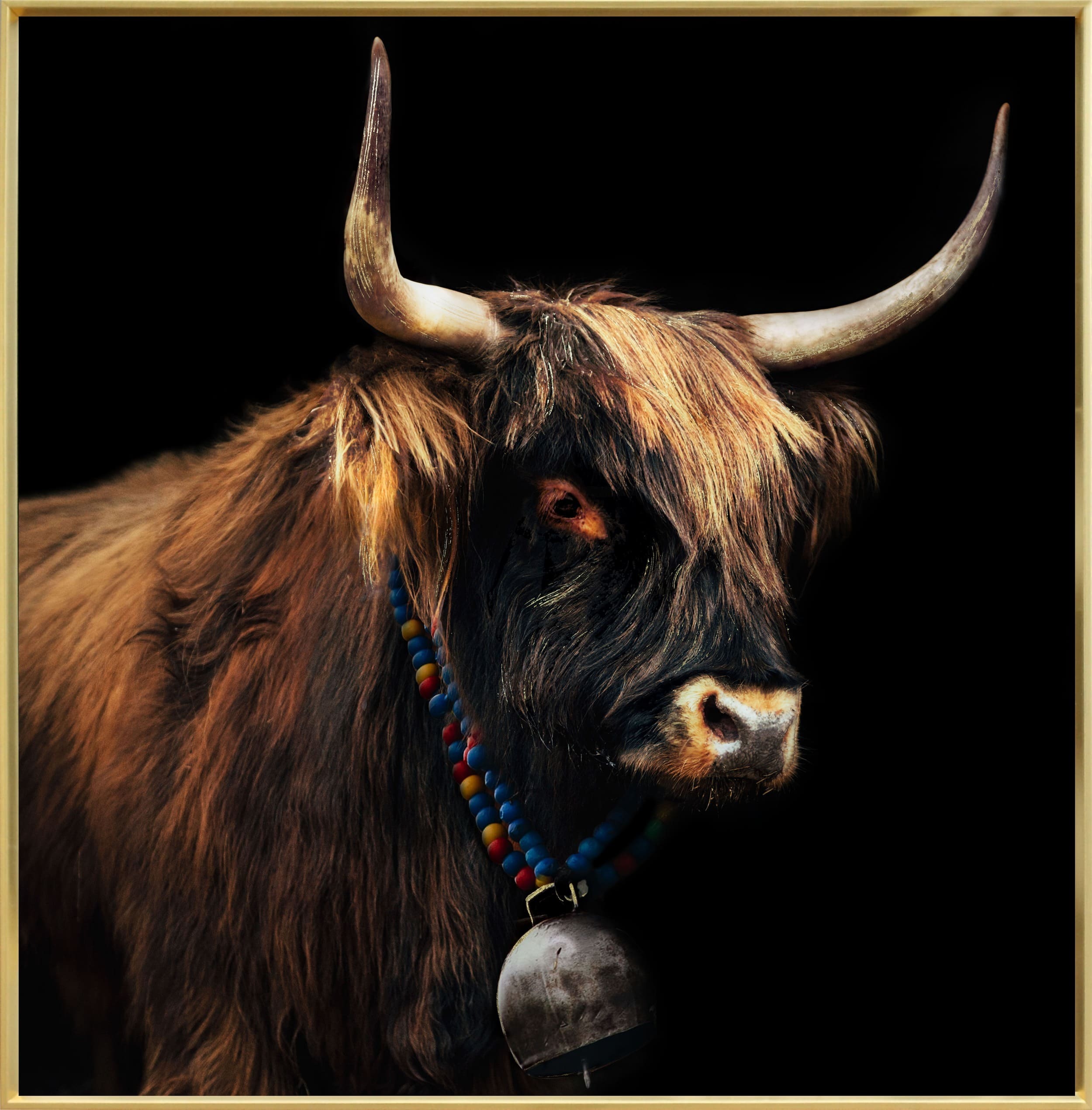 Wandbild Frame bull with golden decor