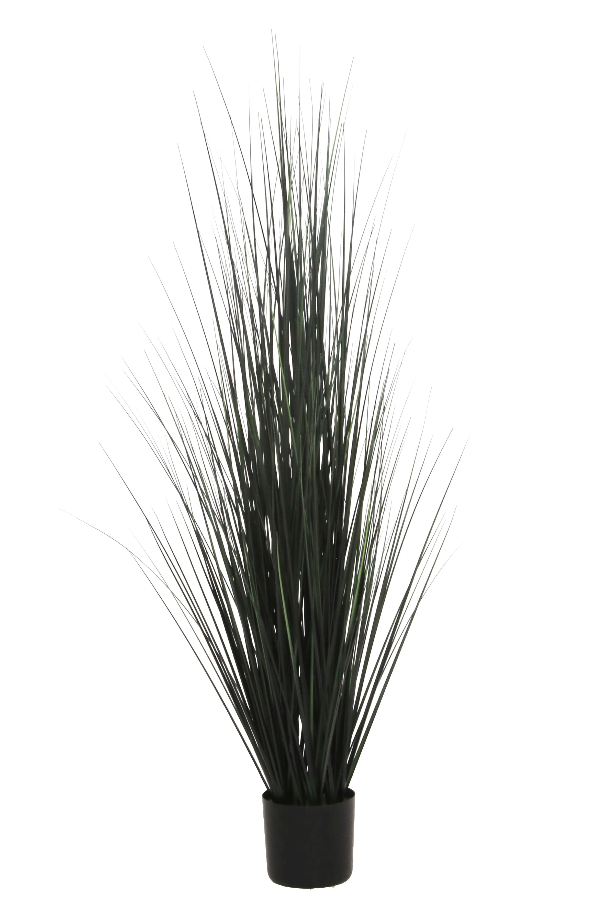 Dekopflanze Gras schwarz H=150cm