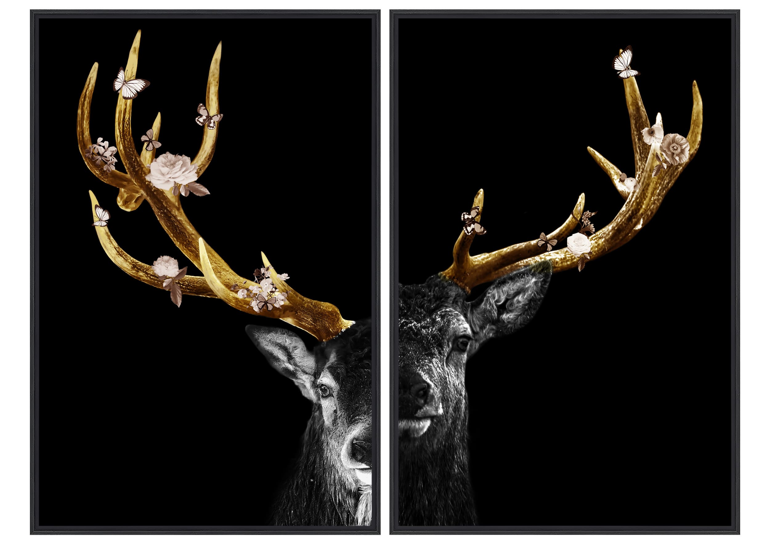Wandbild Frame 2-fach sort. Golden antlers 40x60cm