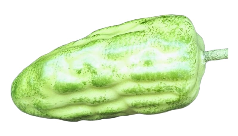 Deko Kakaobohne grün 13cm