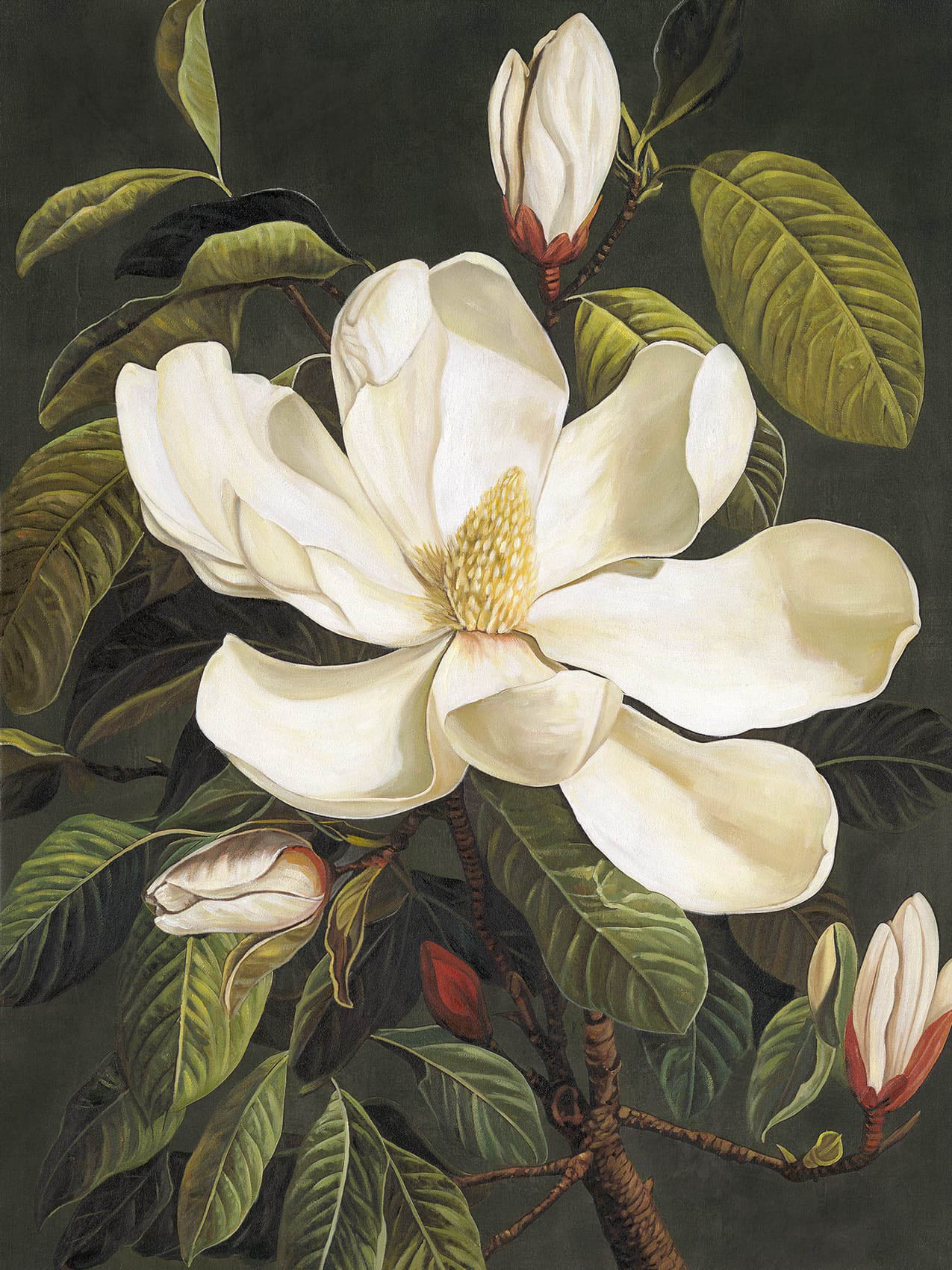 Ölbild weiße Blüte 90x120cm