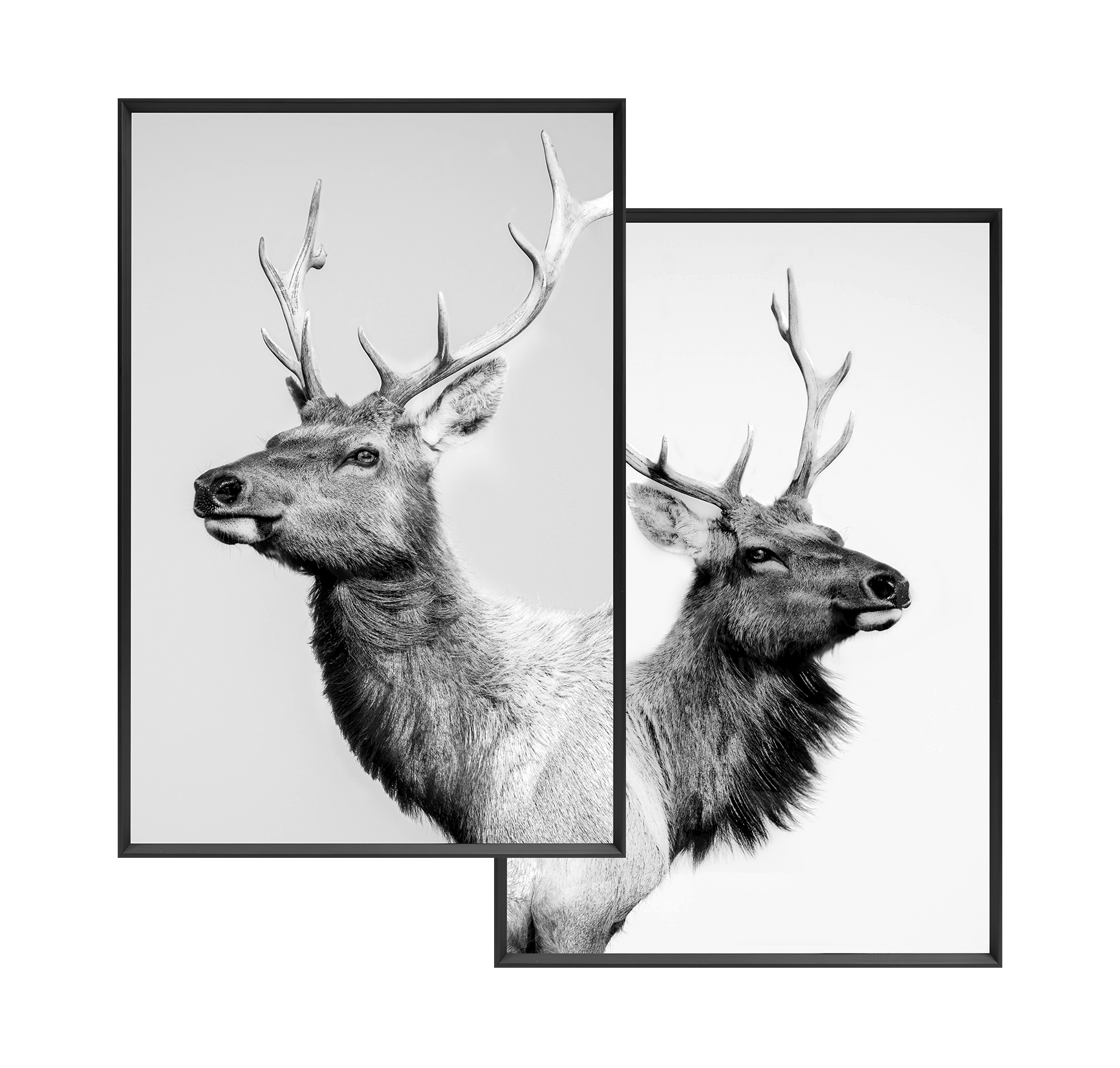 Wandbild Frame 2-fach sort. Deers 20x30cm