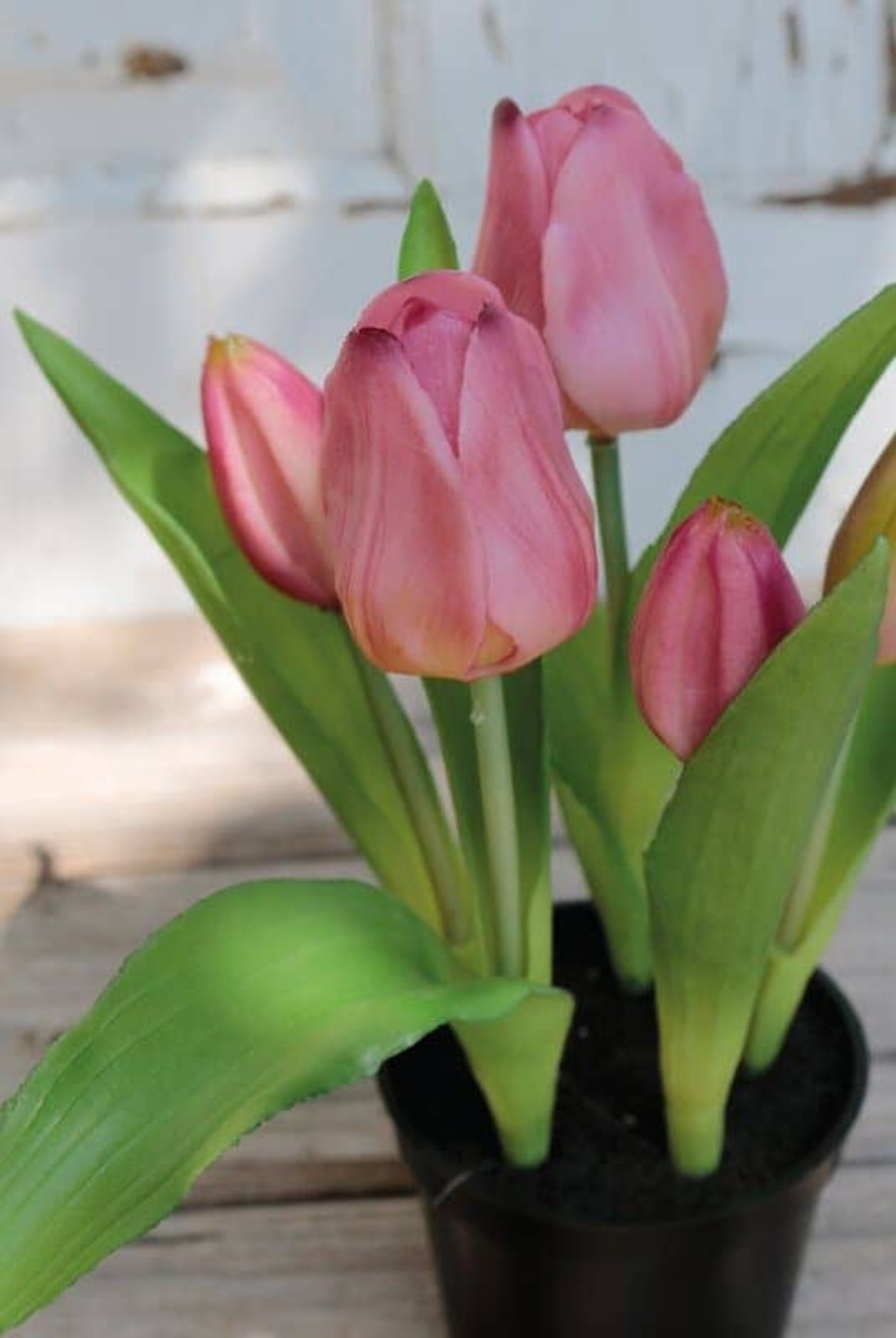 Kunstblume Tulpen getopft 25cm