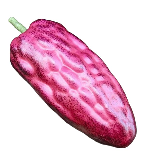 Deko Kakaobohne rot 13cm