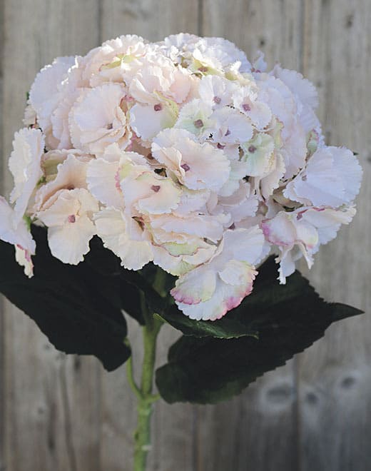 Kunstpflanze Hortensie weiß H=70cm