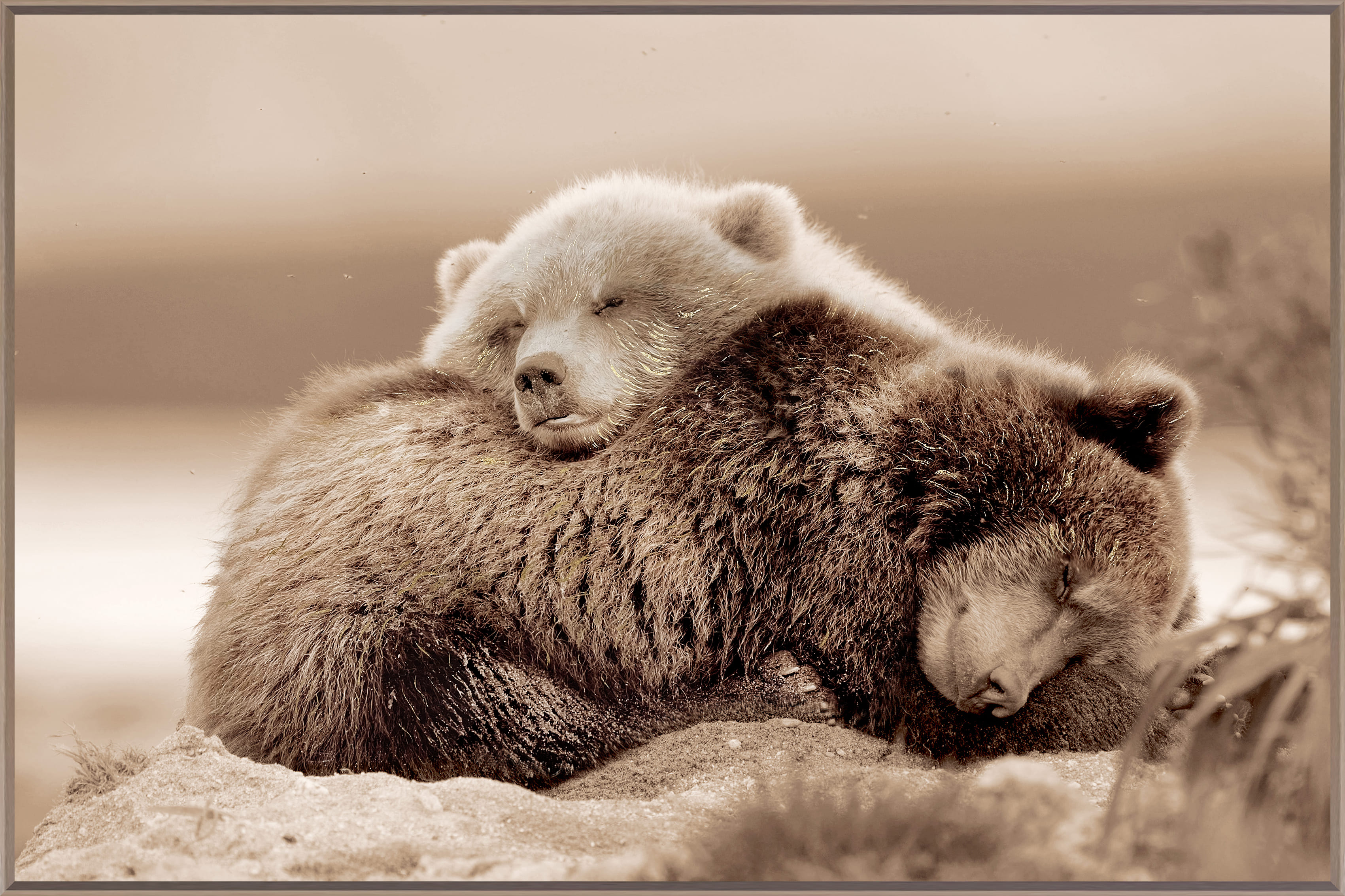 Wandbild Frame cuddly bears 120x80cm