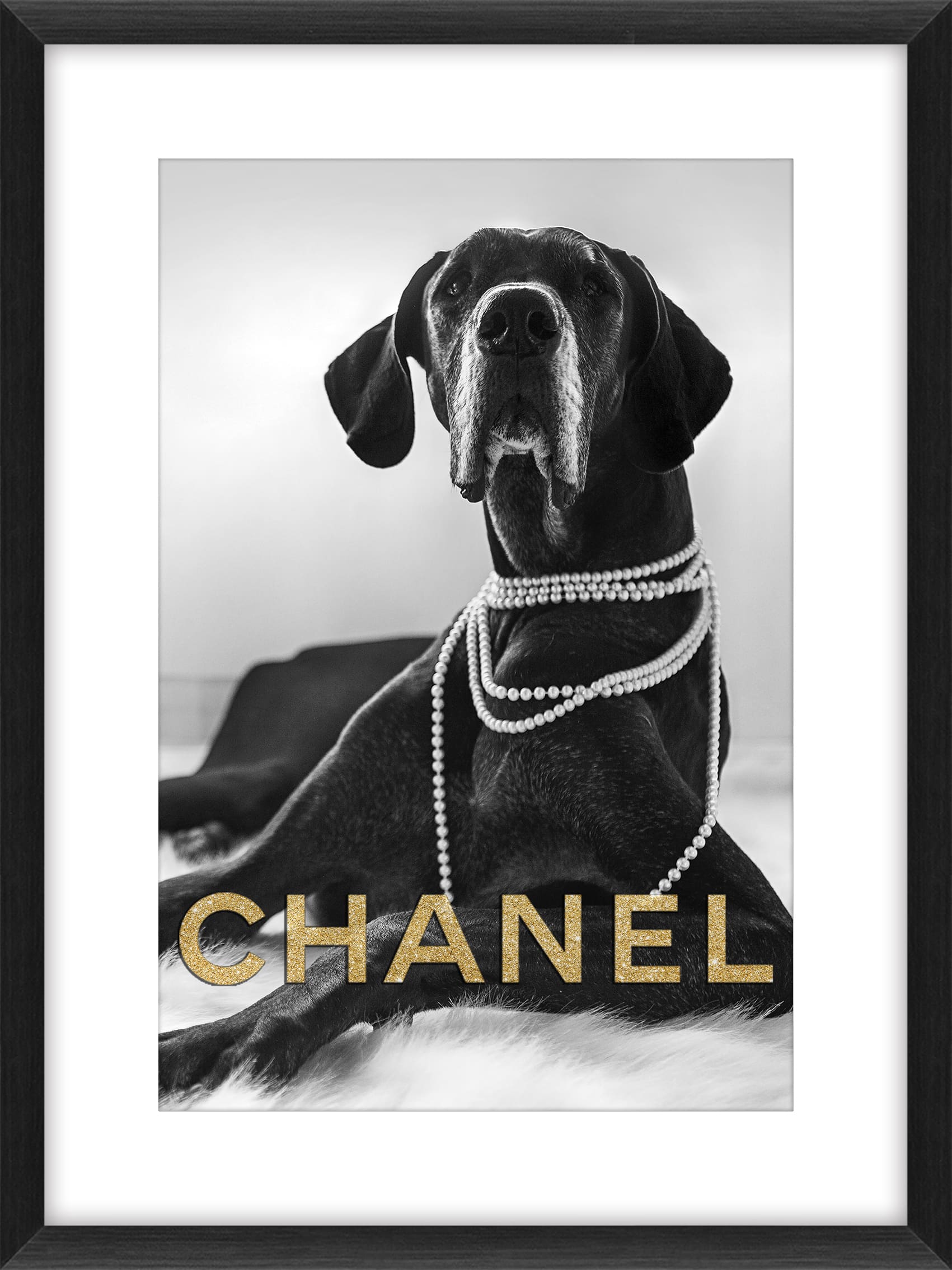 Bild Frame Chanel Dog 60x80cm