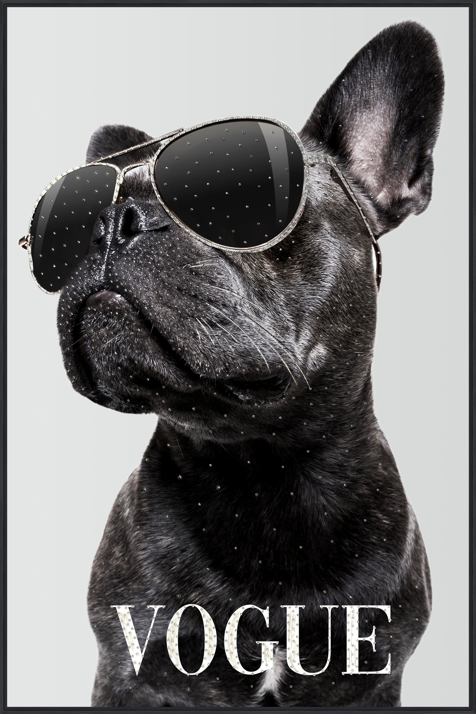 Wandbild Frame Vogue Dog with sunglasses 80x120cm