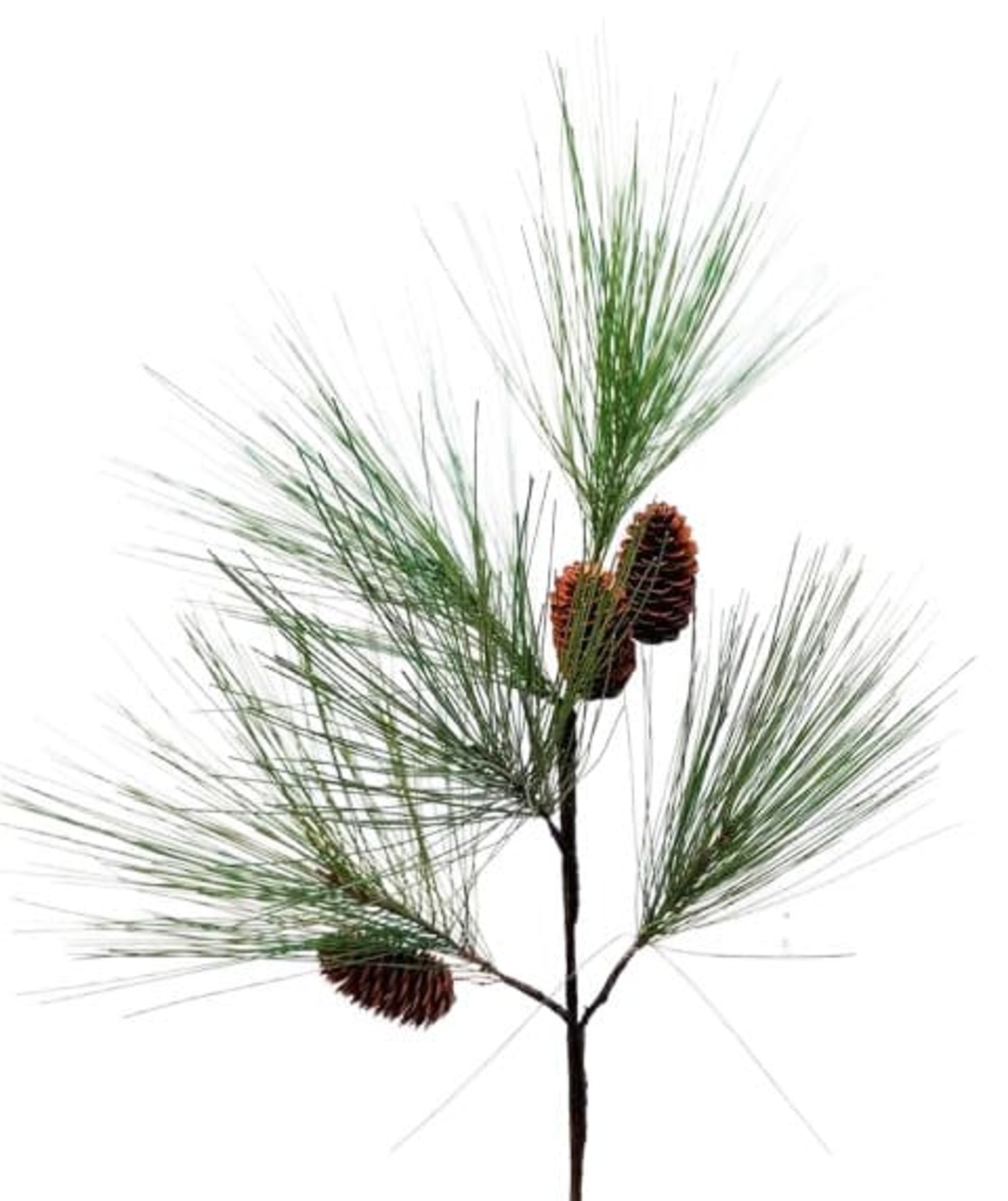 Kunstpflanze Küstenkiefernzweig 70cm