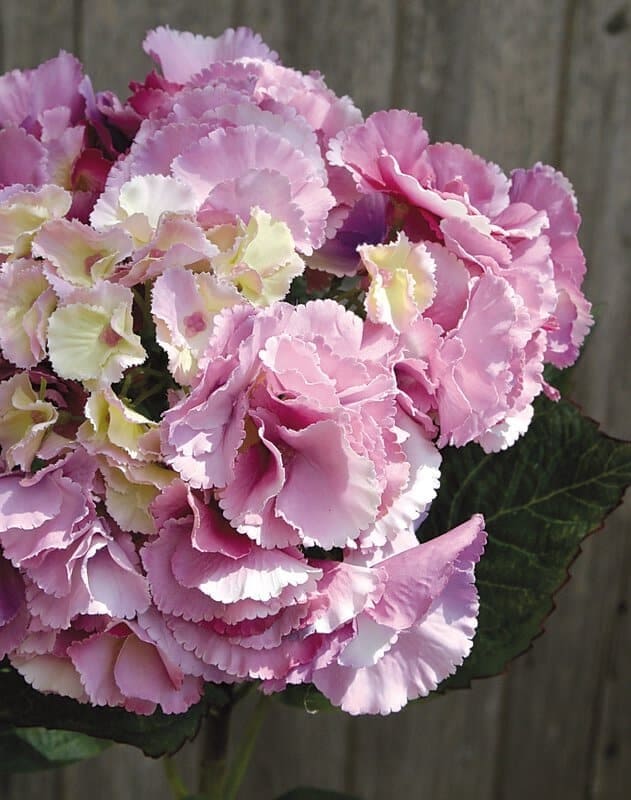 Kunstpflanze Hortensie pink H=70cm