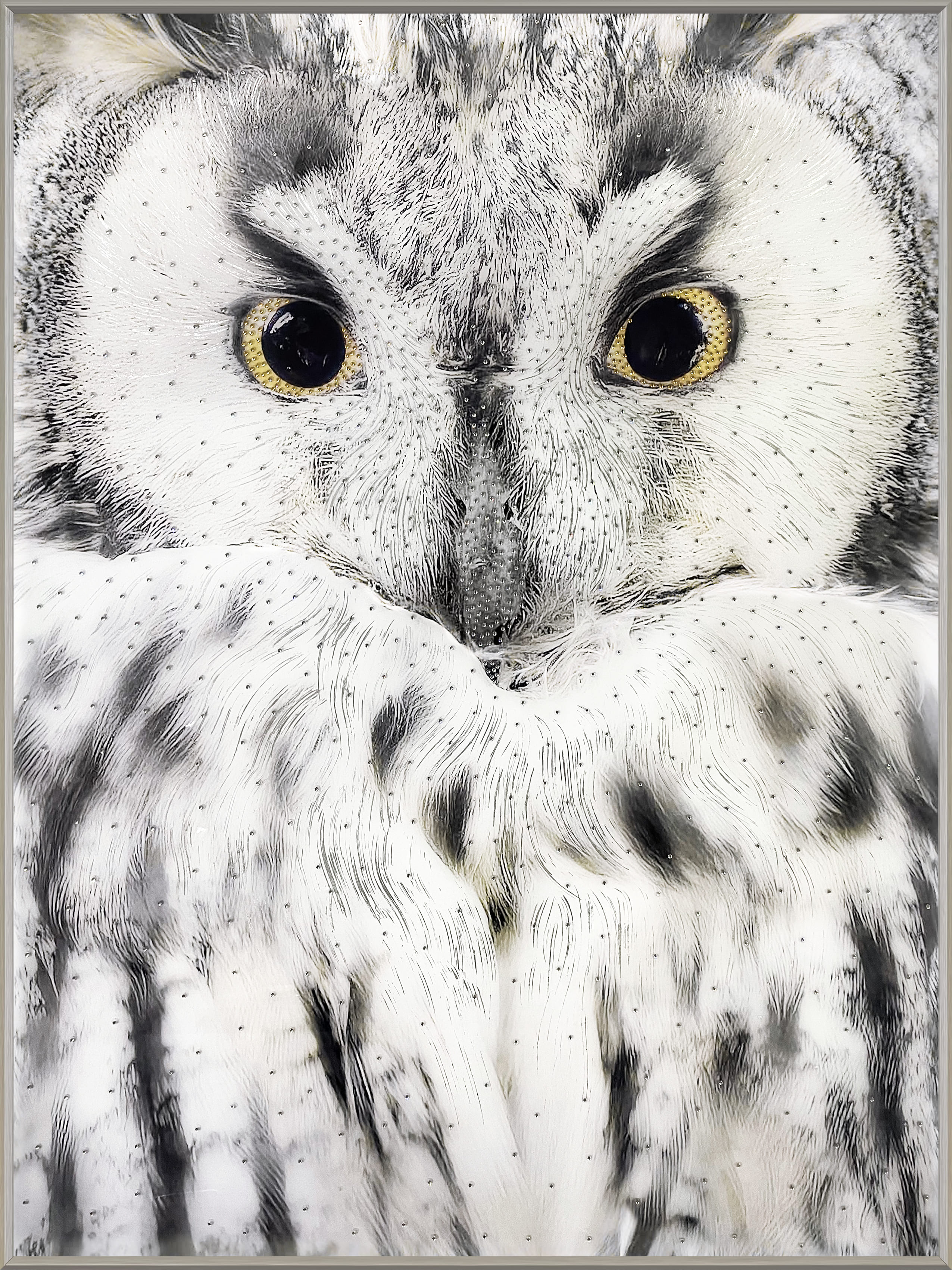 Wandbild Frame Owl 90x120cm