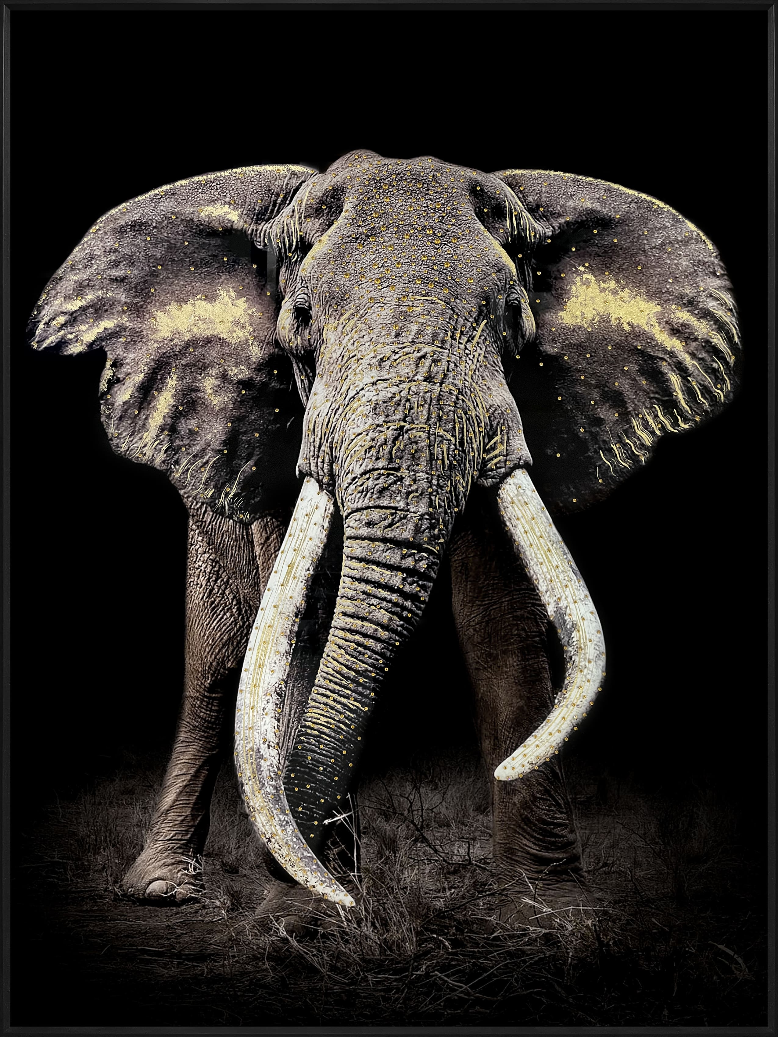 Wandbild Frame elephant 90x120cm