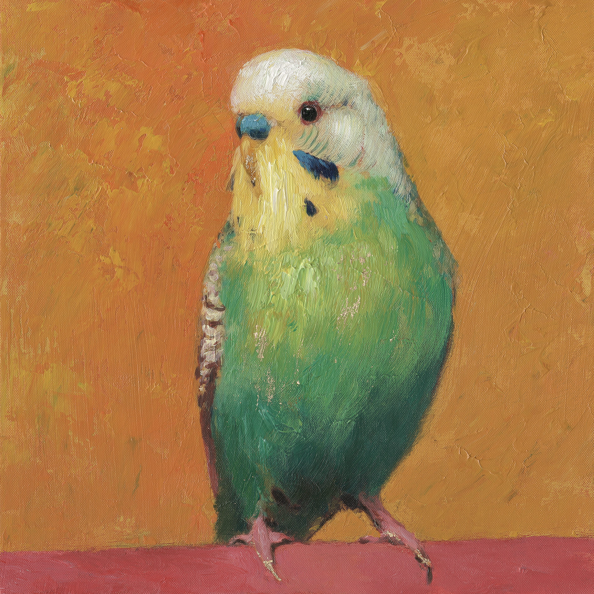 Ölbild mit Rahmen Wellensittich grün