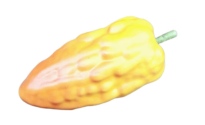 Deko Kakaobohne gelb 13cm