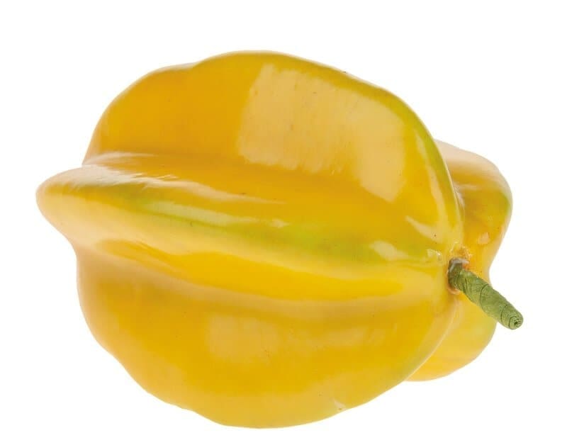 Deko Sternfrucht 10cm