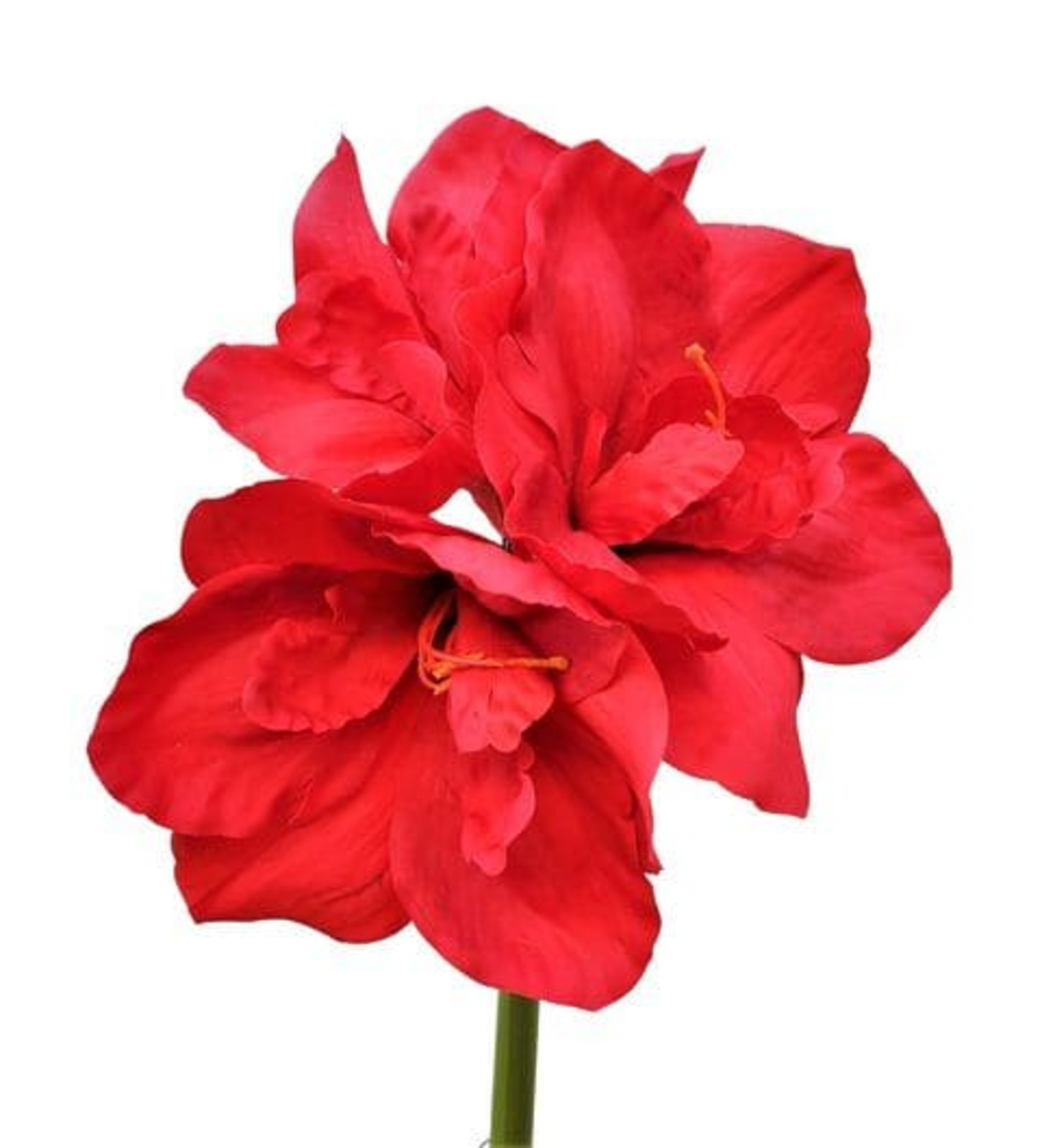 Kunstpflanze Amaryllis rot 61cm